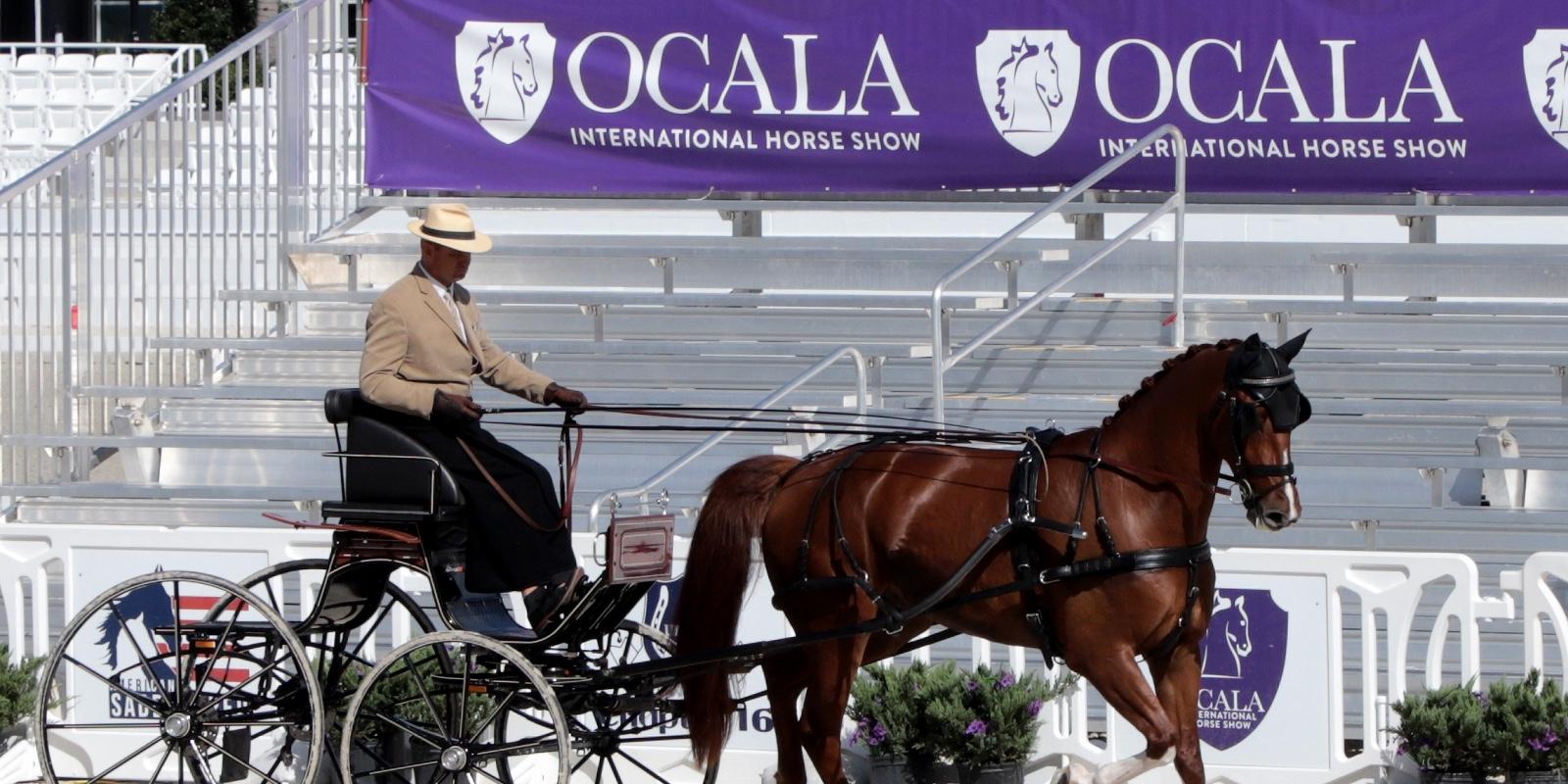 Crecimiento de Ocala en 2025: Oportunidades y Éxitos